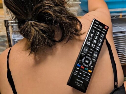 「くっついてるwww」餅田コシヒカリ、驚きの“リモコン置き場”に反響！ 「身体の一部になってる」