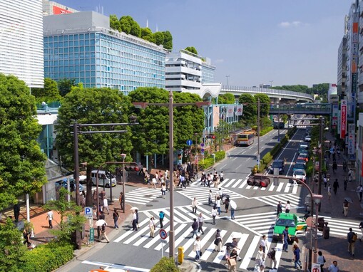 東京23区で「老後に住みたいと思う区」ランキング！ 2位「杉並区」、1位は？【2025年最新】