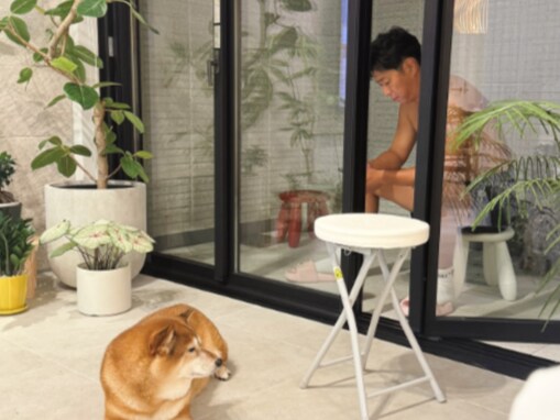 「履いてますか？笑」人気お笑い芸人の妻、夫のルーティン公開も「トイレが全面ガラス張りかと」の声