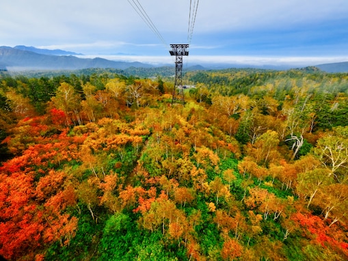 好き・行ってみたい「北海道の紅葉スポット」ランキング！ 2位「大雪山・旭岳」、1位は？【2025調査】