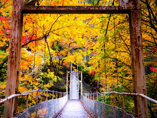 好き・行ってみたい「岩手県の紅葉スポット」ランキング！ 2位「花巻温泉」、1位は？【2025年調査】
