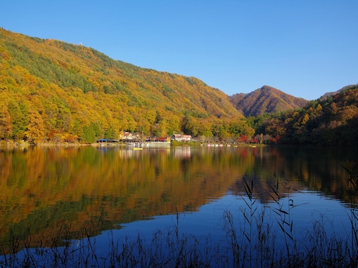 山梨県民が選んだ「住み続けたい自治体」ランキング！ 2位「西八代郡市川三郷町」、1位は？【2025年最新】