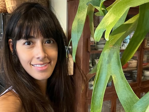 「すごい大きい！圧巻です」森泉、豪華リビングを“占領中”の植物に「そんなに巨大化するんですね!」反響