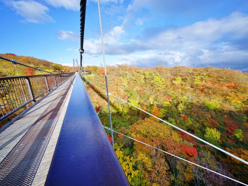 秋に行きたい「栃木県の温泉地」ランキング！ 「那須湯本温泉」に大差をつけた1位は？【2025年調査】