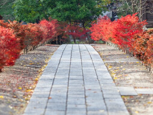 秋に行きたい「長野県の温泉地」ランキング！ 2位「別所温泉」を抑えた1位は？【2025年調査】