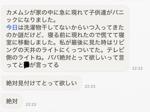 「カップル専用アプリ！」人気芸人、妻とのメッセージ公開にファン歓喜！ 「敬語で話し合ってるの」