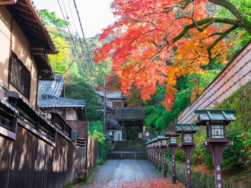 秋に行きたいと思う「兵庫県の道の駅」ランキング！ 2位「村岡ファームガーデン」を抑えた1位は？【2025年調査】