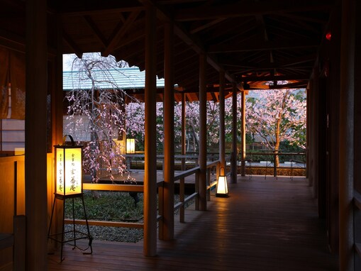 【楽天トラベル宿クーポン】「九十九里浜 白子温泉 青松庭 白砂」が今だけ特別価格に！ 海辺の静かな隠れ宿で過ごす至福の時間【10月8日】