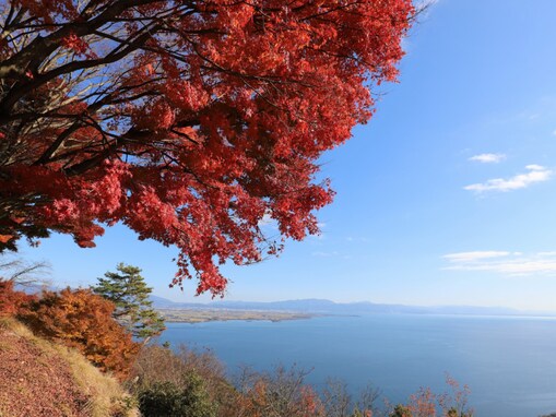 秋に行きたい「滋賀県の絶景ドライブスポット」ランキング！ 2位「奥琵琶湖パークウェイ」、1位は？【2025年調査】