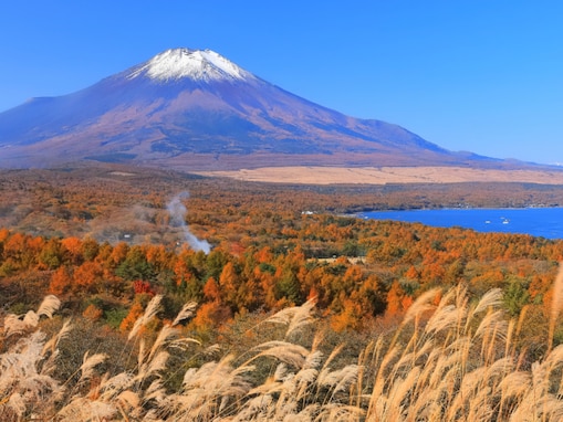 好き＆行ってみたい「山梨県の紅葉スポット」ランキング！ 2位「山中湖」、1位は？ 【2025年調査】