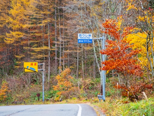好き＆行ってみたい「岐阜県の紅葉スポット」ランキング！ 2位「飛騨美濃せせらぎ街道」、1位は？
