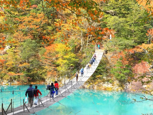 好き＆行ってみたい「静岡県の紅葉スポット」ランキング！ 2位「寸又峡」、1位は？ 【2025年調査】