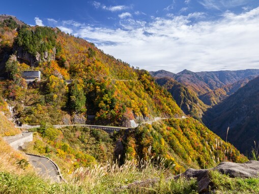 秋に行きたい「石川県の絶景ドライブスポット」ランキング！ 「白山白川郷ホワイトロード」を抑えた1位は？