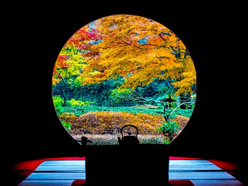 秋に行きたいと思う「神奈川県の絶景スポット」ランキング！ 2位「あじさい寺／明月院」を抑えた1位は？【2025年調査】