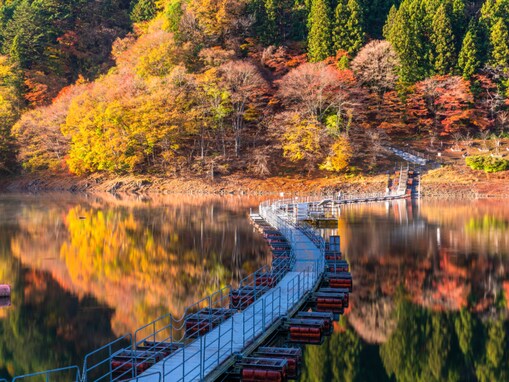 秋に行きたいと思う「東京都の絶景スポット」ランキング！ 2位「奥多摩湖」を抑えた1位は？【2025年調査】