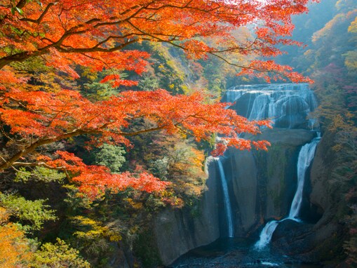 秋に行きたいと思う「茨城県の絶景スポット」ランキング！ 2位「袋田の滝」を抑えた1位は？【2025年調査】