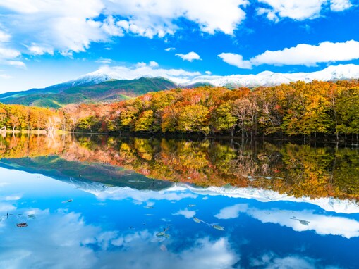 秋に行きたいと思う「北海道の絶景スポット」ランキング！ 2位「知床五湖」を抑えた1位は？ 【2025年調査】