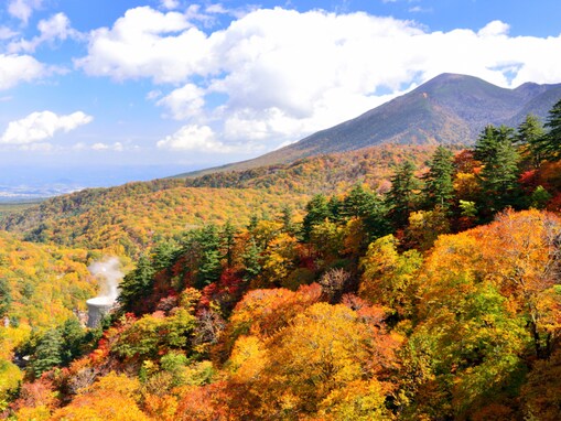 秋に行きたいと思う「岩手県の絶景スポット」ランキング！ 2位「八幡平」を抑えた1位は？ 【2025年調査】