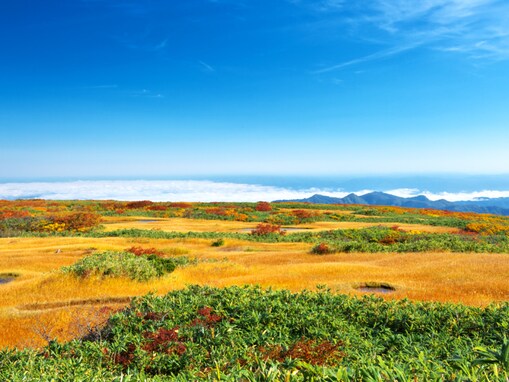 秋に行きたいと思う「山形県の絶景スポット」ランキング！ 2位「月山」を抑えた1位は？ 【2025年調査】