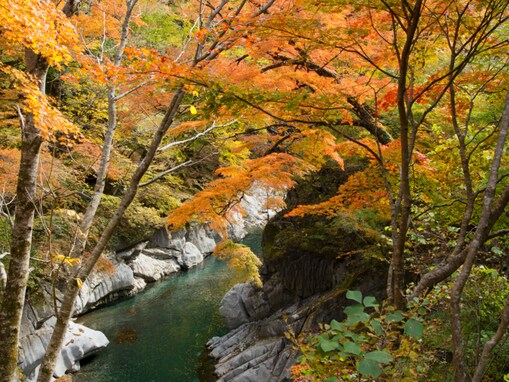 秋に行きたい「埼玉県の穴場秘境」ランキング！ 2位「中津峡」を抑えた1位は？ 【2025年調査】