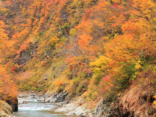 秋に行きたい「新潟県の穴場秘境」ランキング！ 2位「清津峡」、1位は？ 【2025年調査】