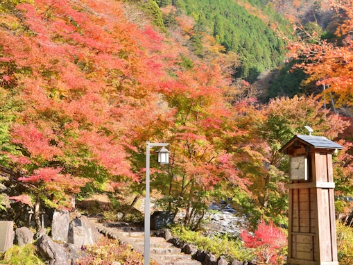 秋に行きたい「静岡県の穴場秘境」ランキング！ 2位「梅ヶ島温泉郷」、1位は？ 【2025年調査】