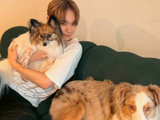 「犬がオシャレすぎる」イケメン俳優、愛犬2匹との“家族”ショット公開！ 「みんなイケメン」
