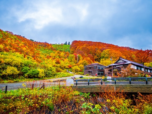 秋に行きたい「青森県の絶景ドライブスポット」ランキング！ 「八甲田山酸ヶ湯温泉周辺ルート」を大差で抑えた1位は？