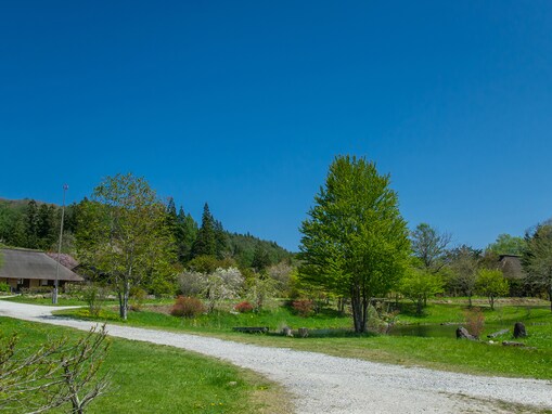 秋に行きたい「岩手県の絶景ドライブスポット」ランキング！ 2位「遠野ふるさと村周辺ルート」を抑えた同率1位は？