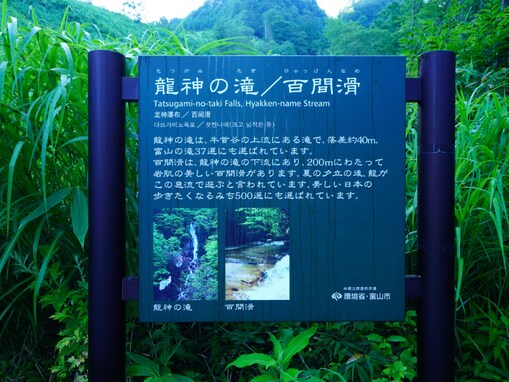 富山県で「秋に行きたい滝」ランキング！ 2位「龍神の滝」を抑えた1位は？ 【2025年調査】
