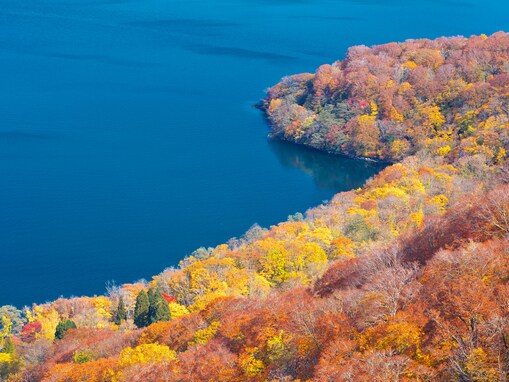 秋に行きたい「秋田県の絶景ドライブスポット」ランキング！ 2位「十和田湖西湖岸周遊ルート」を2票差で抑えた1位は？