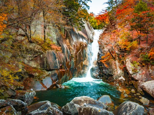 山梨県で「秋に行きたい滝」ランキング！ 2位「仙娥滝」を抑えた1位は？ 【2025年調査】