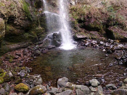 神奈川県で「秋に行きたい滝」ランキング！ 2位「夕日の滝」を抑えた1位は？【2025年調査】