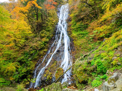 埼玉県で「秋に行きたい滝」ランキング！ 2位「丸神の滝」を抑えた1位は？【2025年調査】