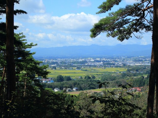 岩手県の市で「治安がいい」と思う市ランキング！ 2位「花巻市」を抑えた1位は？【2025年調査】