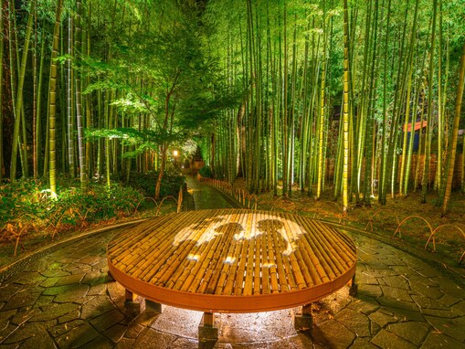 【静岡県】「伊豆の小京都」歴史ある「修善寺温泉」の魅力とは？ 竹林の散策でゆったり風情のある旅に