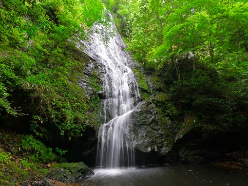 秋に行きたい「京都府の穴場秘境」ランキング！ 2位「琴滝」を抑えた1位は？ 【2025年調査】