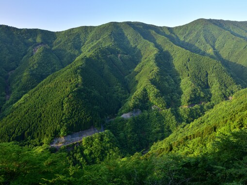 秋に行きたい「奈良県の穴場秘境」ランキング！ 2位「ナメゴ谷」を抑えた1位は？ 【2025年調査】