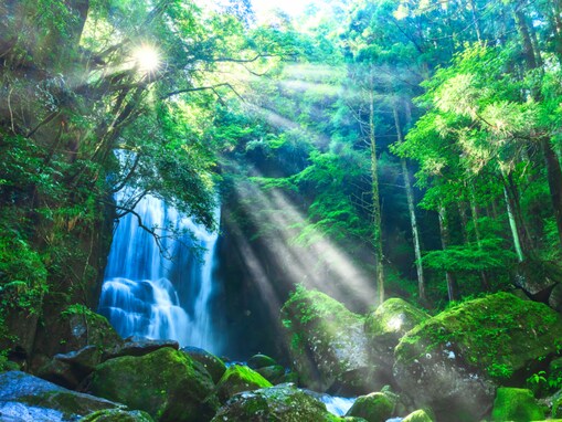 秋に行きたい「和歌山県の穴場秘境」ランキング！ 2位「桑ノ木の滝」を抑えた1位は？ 【2025年調査】