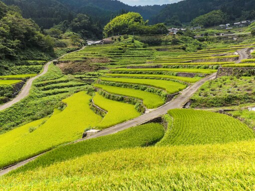 秋に行きたい「広島県の穴場秘境」ランキング！ 2位「井仁の棚田」、堂々の1位は？ 【2025年調査】