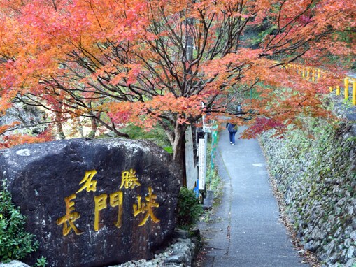 秋に行きたい「山口県の穴場秘境」ランキング！ 2位「長門峡」、僅差の1位は？ 【2025年調査】