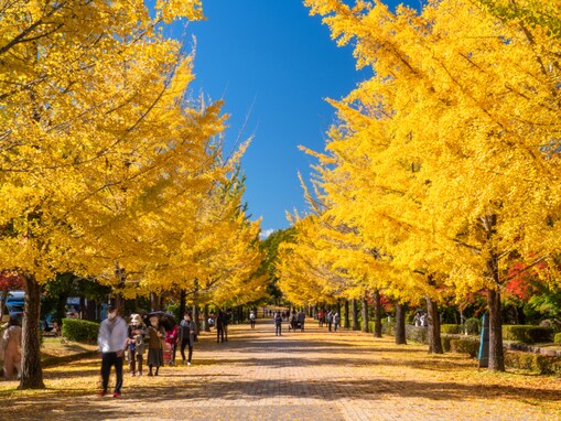 埼玉県の市で「治安がいい」と思う市ランキング！ 2位「秩父市」を抑えた1位は？【2025年調査】