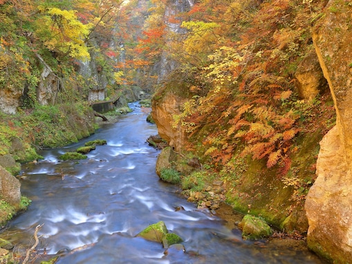 【宮城県】1人旅でも“浮かない”と話題の「鳴子温泉」とは？ 「温泉のデパート」の魅力