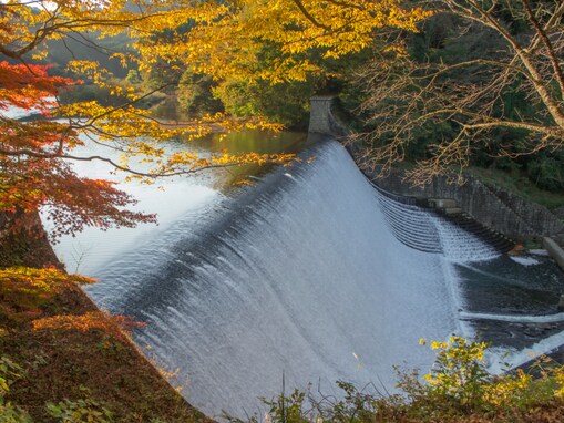 秋に行きたい「大分県の穴場秘境」ランキング！ 2位「白水ダム」を抑えた1位は？ 【2025年調査】