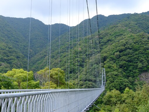秋に行きたい「宮崎県の穴場秘境」ランキング！ 2位「綾の照葉大吊橋」を抑えた1位は？ 【2025年調査】