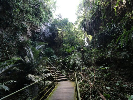 秋に行きたい「沖縄県の穴場秘境」ランキング！ 2位「ガンガラーの谷（本島）」を抑えた1位は？【2025年調査】