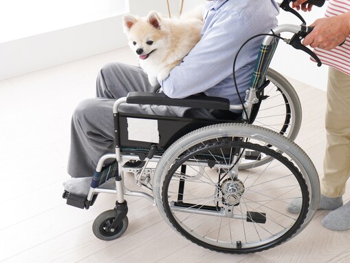 私が急に入院したら？ 「11月1日」に考えておきたい、誰も愛犬を助けられない「法律の壁」の乗り越え方