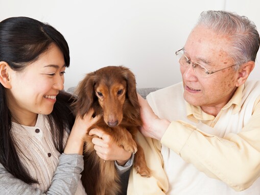 老後資金2000万円では足りない？ 愛犬家が「11月1日」に考えたい、ペットの終生費用の相場