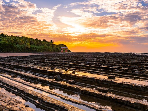 秋に行きたいと思う「宮崎県の絶景スポット」ランキング！ 2位「青島」、1位は？【2025年調査】