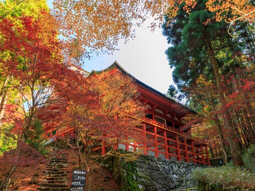 好き＆行ってみたい「滋賀県の紅葉スポット」ランキング！ 2位「比叡山延暦寺」を抑えた1位は？【2025年調査】